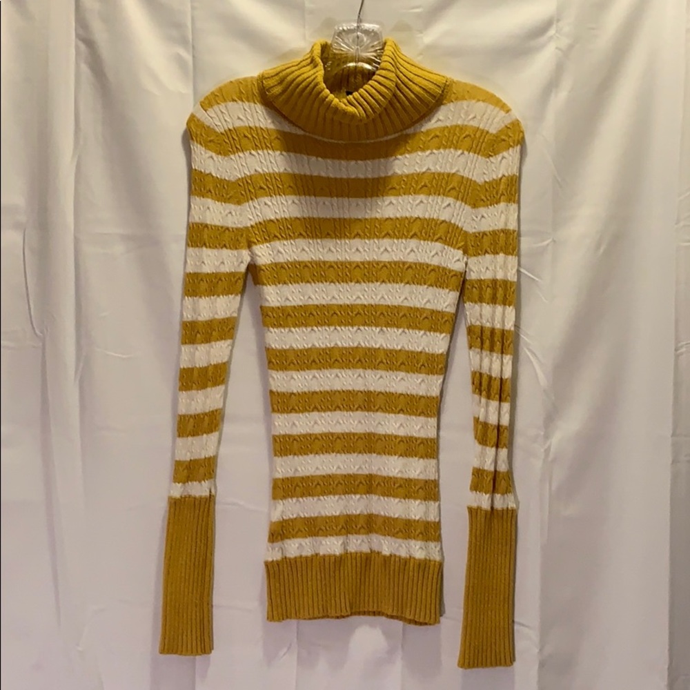 BCBGMAXAZRIA Turtle Neck Stripe Shirt